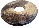 Jade Bi Chinese Western Han Grain Design