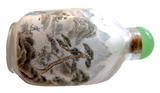 Interior Painted Snuff Bottle Antique Glass Signed