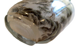 Interior Painted Snuff Bottle Antique Glass Signed