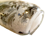 Interior Painted Snuff Bottle Antique Glass Signed