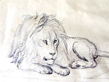 J J Grandville Original Drawing Of A Lion