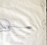 J J Grandville Original Drawing Of A Lion
