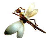 Dragonfly Art Nouveau 14K Brooch Spring Loaded Signed Hedges