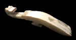 White Jade Belt/Garment Hook Ribbed Design Warring States