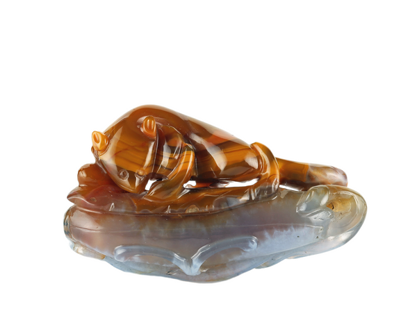 Chinese Agate Mouse