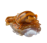 Chinese Agate Mouse