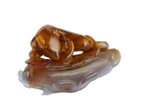 Chinese Agate Mouse