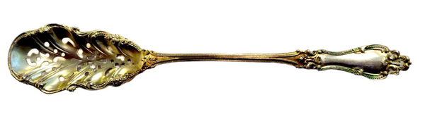 Enamel And Sterling Gilt Berry Spoon Ar Nouveau By BLACKINTON