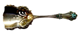 Enamel Sterling Scoop Spoon Art Nouveau - Antique By WATSON