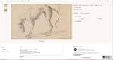 Study Of A Greyhound By Johann Elias Ridinger - 1722