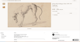 Study Of A Greyhound By Johann Elias Ridinger - 1722