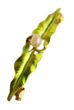 Krementz Art Nouveau - Antique Enamel & Natural Pearl Brooch