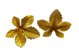 Maple Leaf Shape Earrings 8.2gms 14K Yellow Gold Vintage