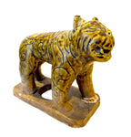 Glazed Tiger - Southeast Asian