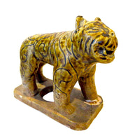 Glazed Tiger - Southeast Asian