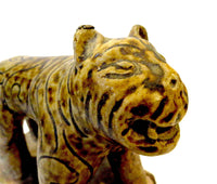 Glazed Tiger - Southeast Asian