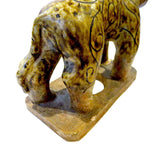 Glazed Tiger - Southeast Asian