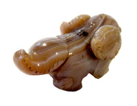 Agate Dog With Large Ears