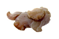Agate Dog With Large Ears