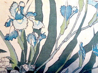 Hokusai Birds Irises Woodblock Print