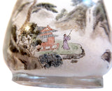 Interior Painted Snuff Bottle Antique Glass Signed