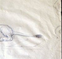 J J Grandville Original Drawing Of A Lion