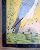 Indian Miniature Painting Falcon
